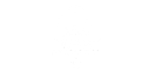 fdm