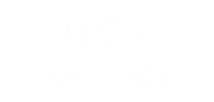 sos 4 patas